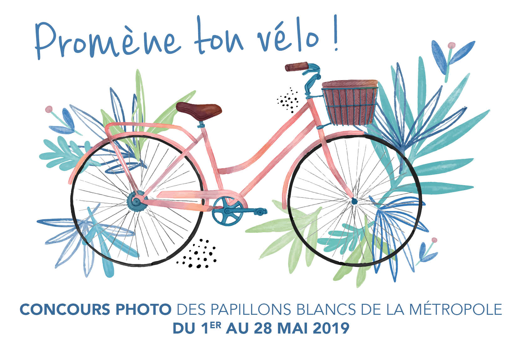 Concours photo Promène ton vélo challenge vélo 2019 Les Papillons Blancs de Lille